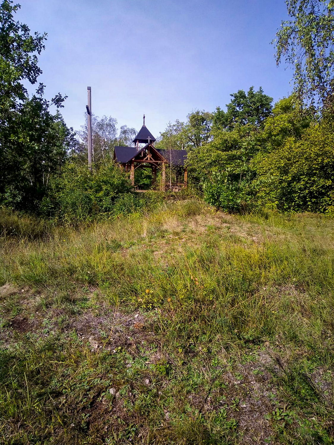 IMG-20230612-WA0006